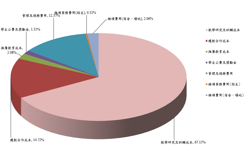 110年支出分析